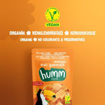 Load image into Gallery viewer, Organic Gluten Free Vegan Mango Gummies 30g
