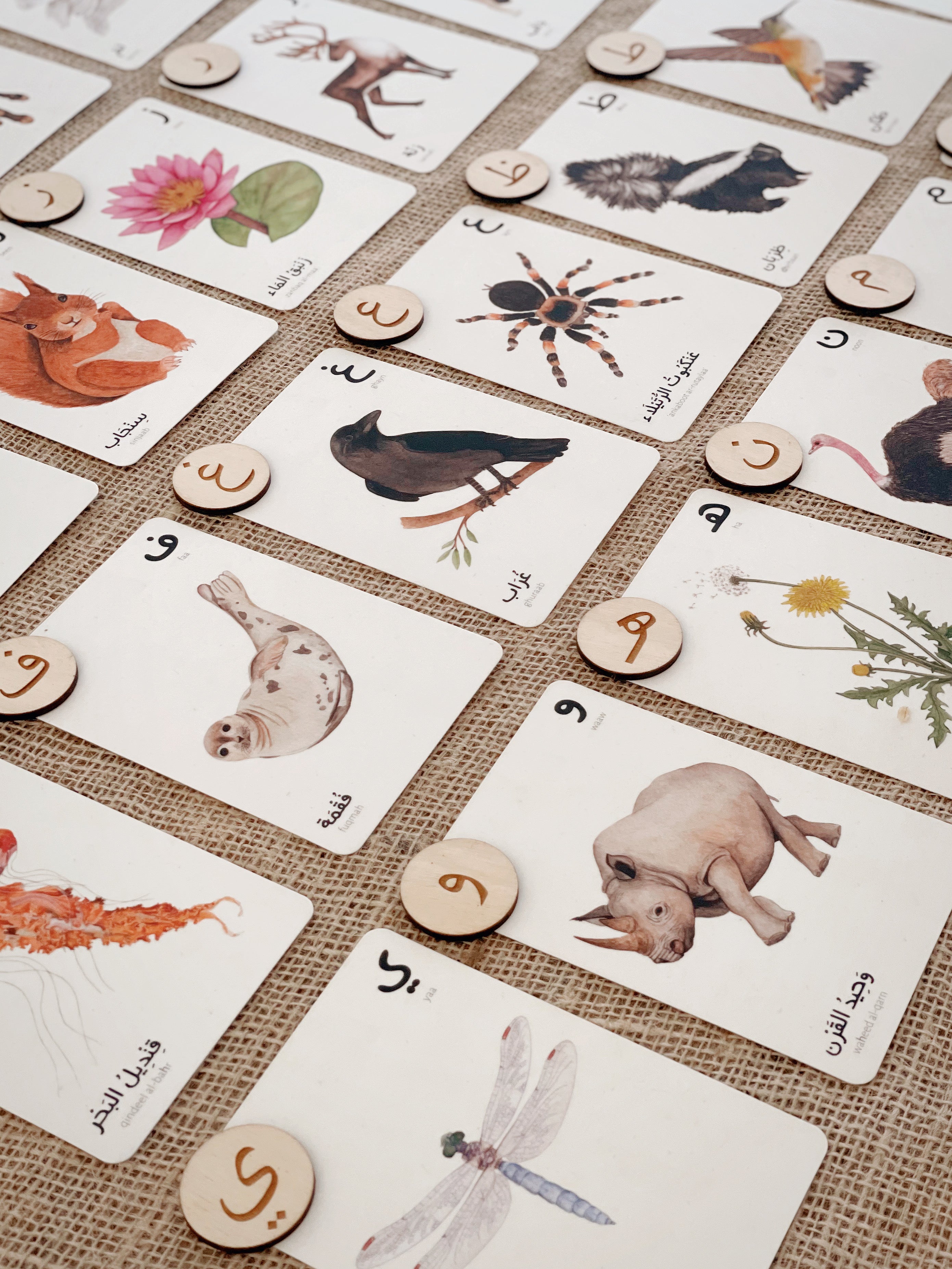 Nature Alphabet Cards بطاقات حروف الطبيعة