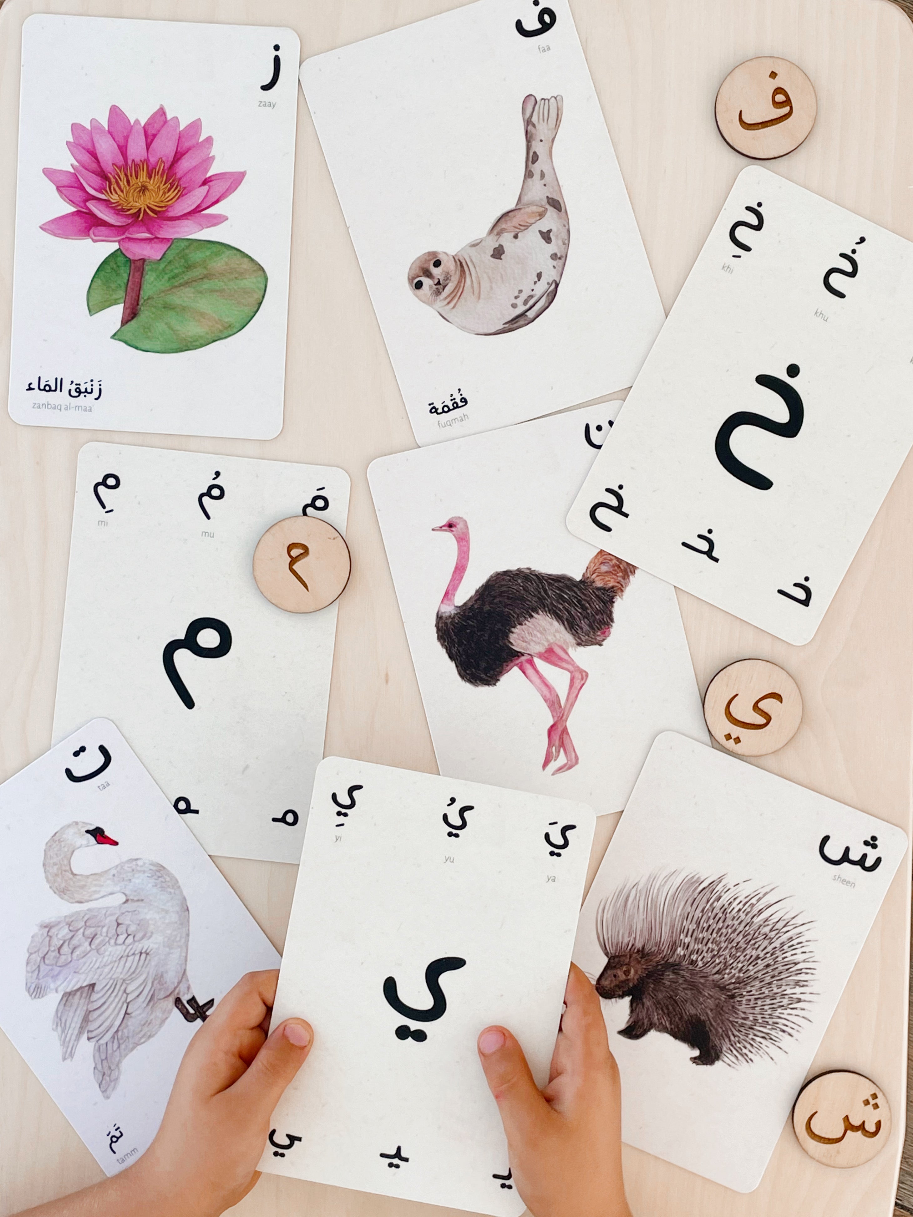 Nature Alphabet Cards بطاقات حروف الطبيعة