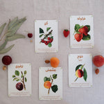 Fruit & Riddles Cards