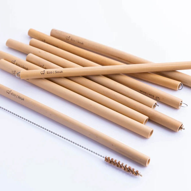 Bamboo Straw and Cleaner